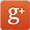 google plus button